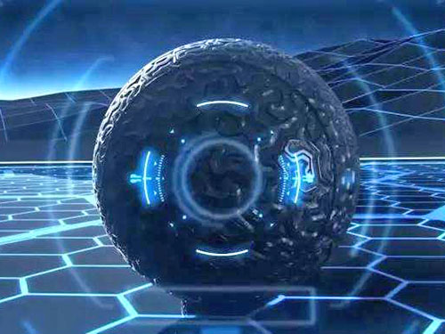 深圳网站建设|深圳网页设计|深圳网络公司|深圳网站开发|深圳市泽月网络有限公司简介